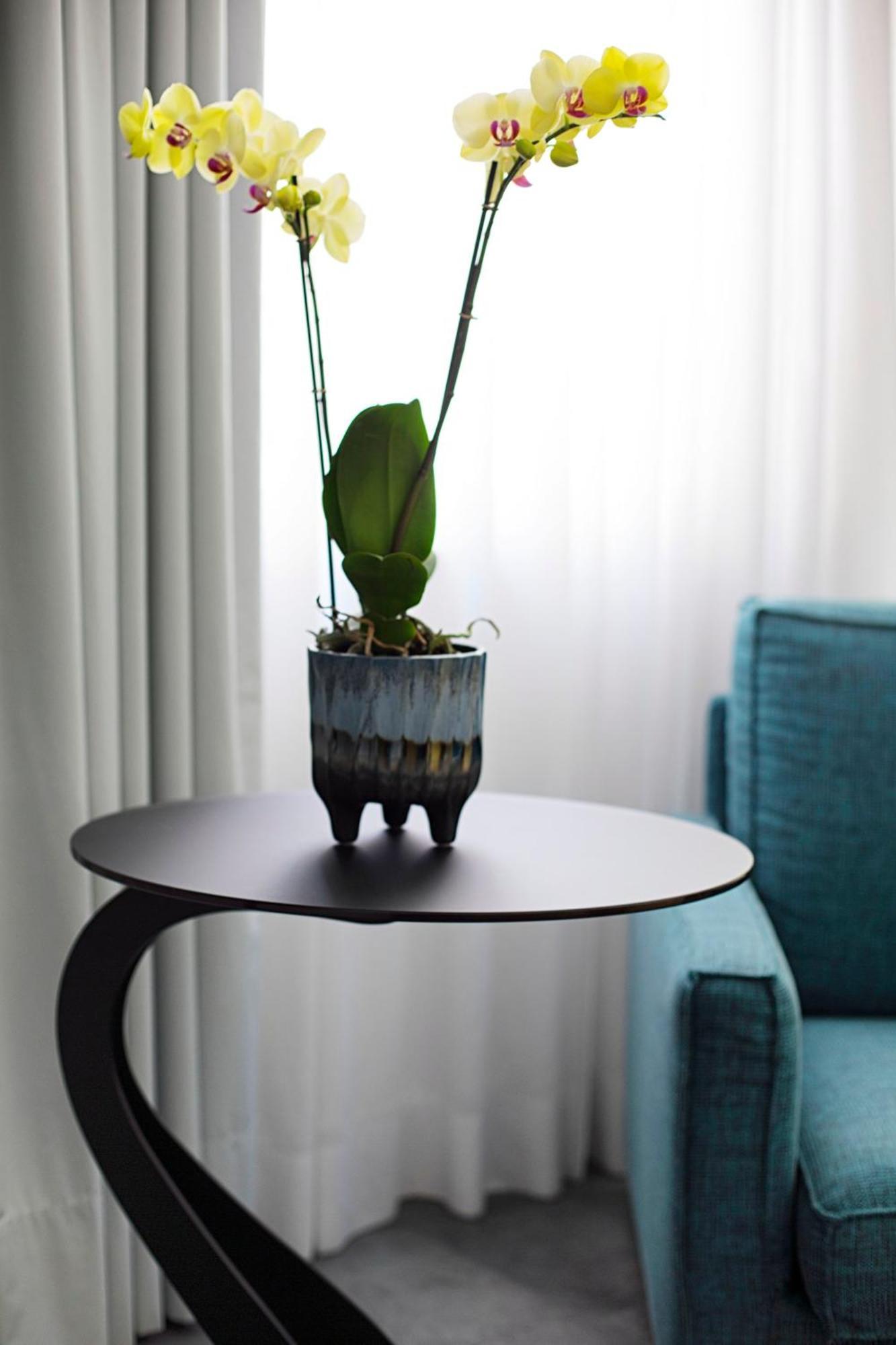 Tasso Suites&spa Hotel 3*